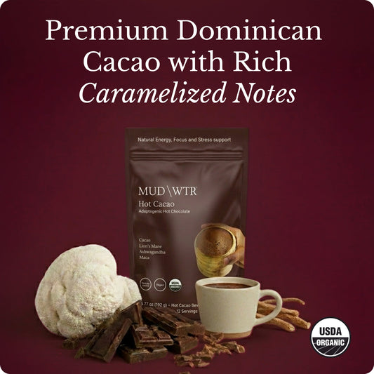 hot-chocolate-m4 Hot_Chocolate_Image_01.jpg