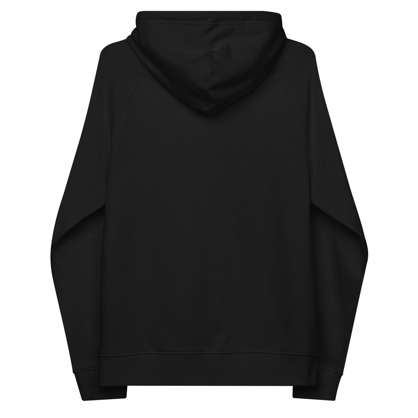 unlearn-relearn-hoodie-h5 unisex-eco-raglan-hoodie-black-back-647547b169f25.jpg