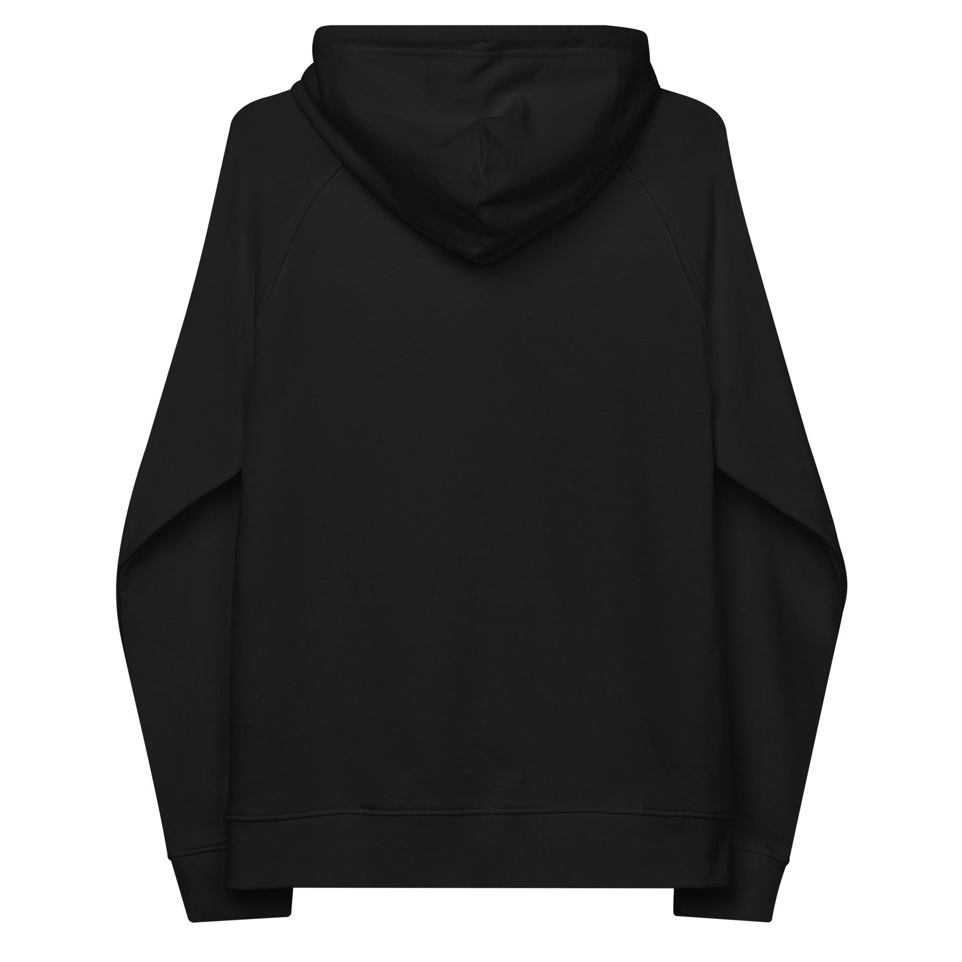 unlearn-relearn-hoodie-h5 unisex-eco-raglan-hoodie-black-back-647547b169f25.jpg